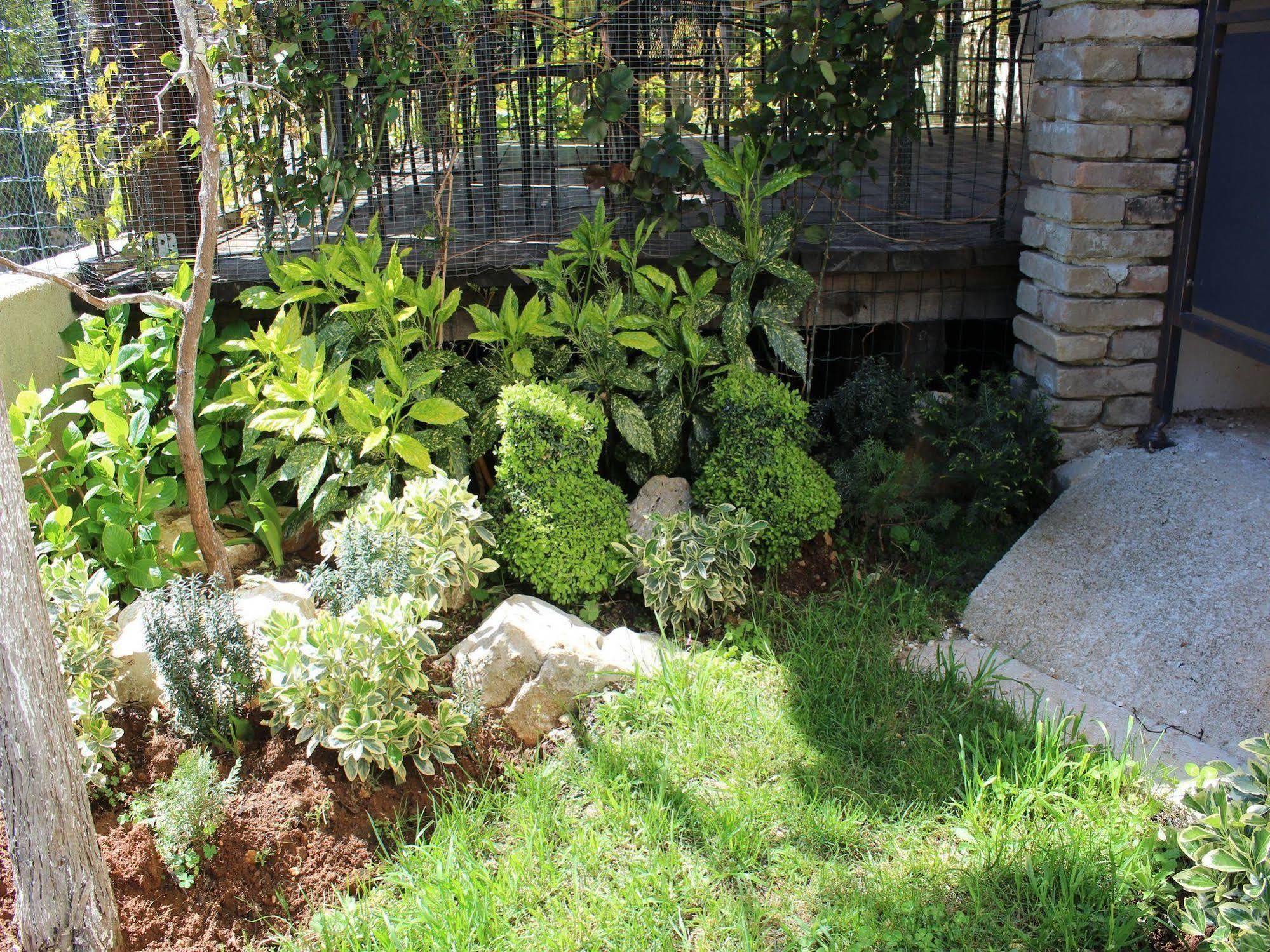 Rooms And Apartment Feral Rovinj Exterior photo