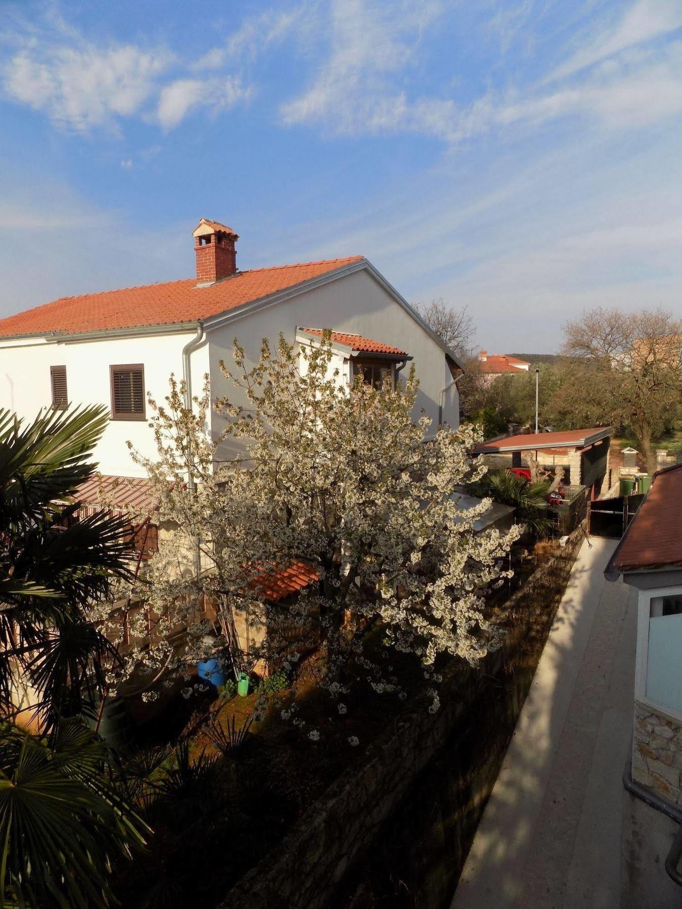 Rooms And Apartment Feral Rovinj Exterior photo